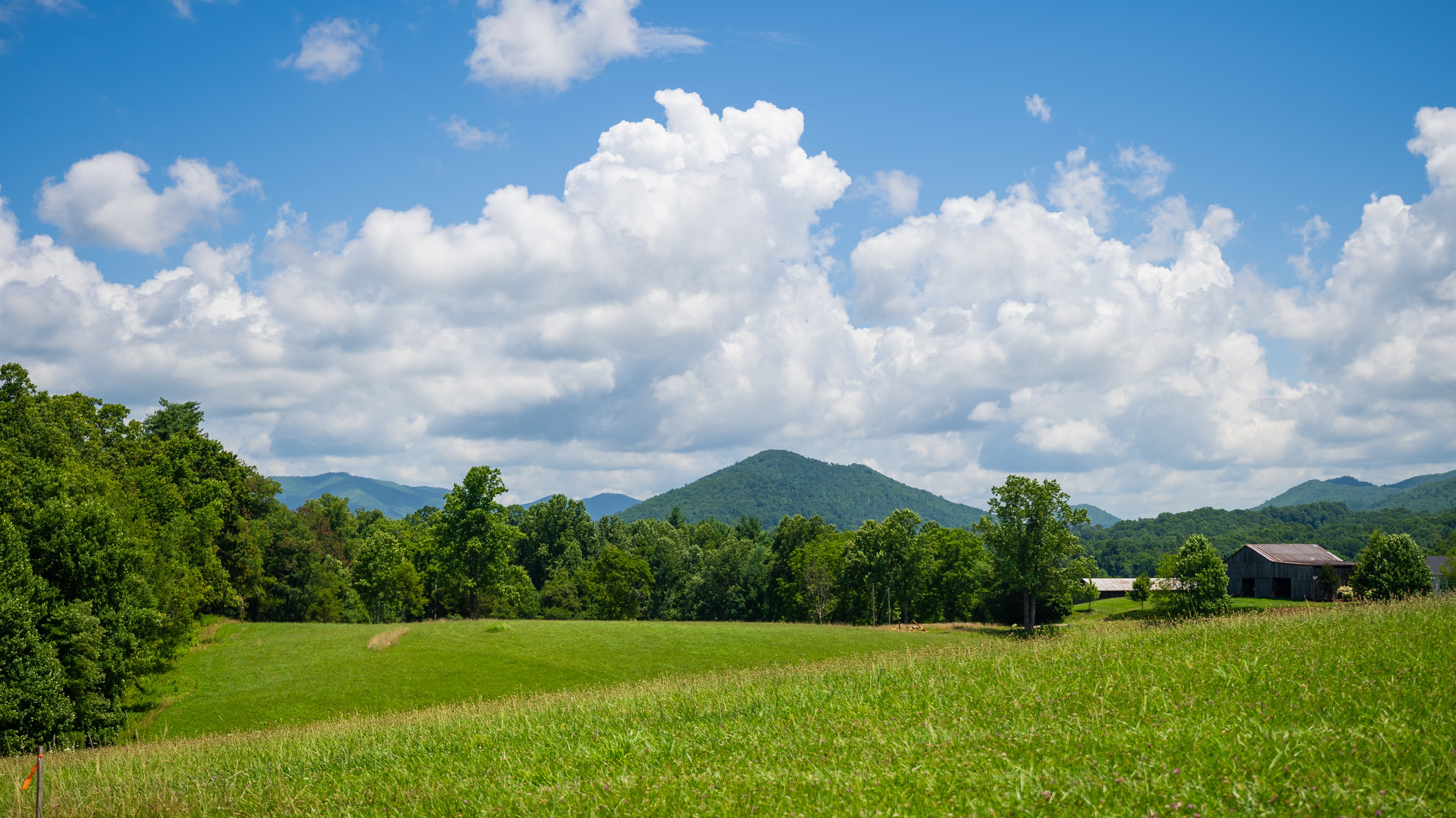 38 Acre Rolling Pasture-4