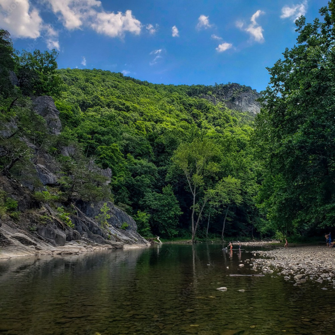 Potomac River Pictures (2)