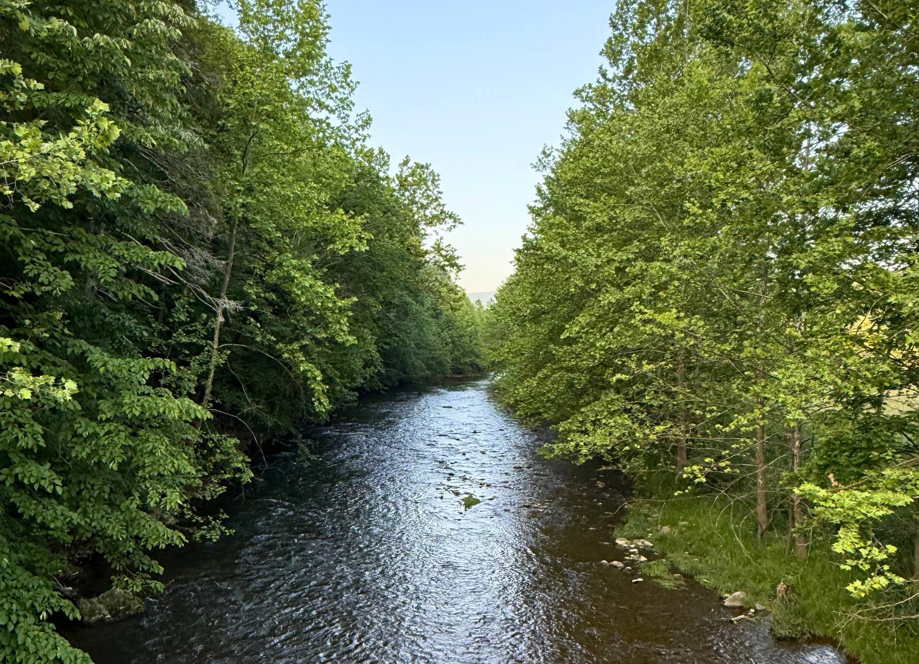 Red and Blue Illustrated 4th of July Party Invitation (1)