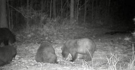 image6386-1 image6386-1