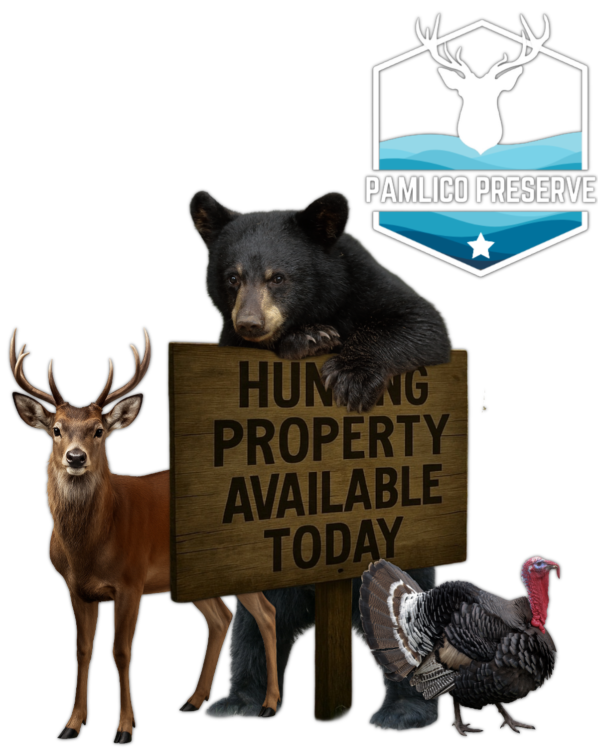 PAMLICO RERESH-4 (1)