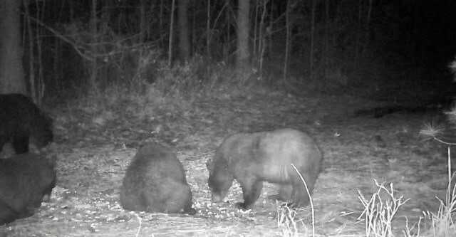 image6386-1 image6386-1